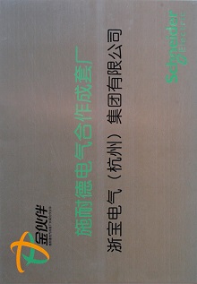 Schneider license - ZHEBAO